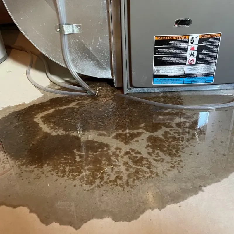 Pipe Burst and Leak Restoration in Myers Corner, NY