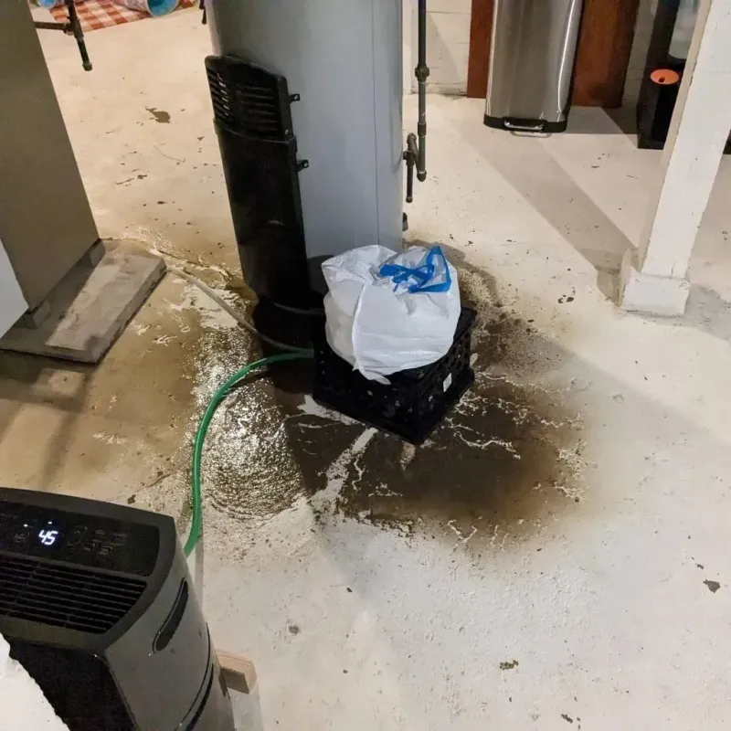 Sewage Backup Cleanup Service in Myers Corner, NY
